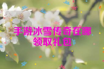 手游冰雪传奇在哪领取礼包
