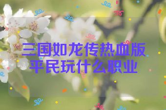 三国如龙传热血版平民玩什么职业
