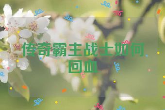 传奇霸主战士如何回血