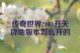 传奇世界2003开天辟地版本怎么开的