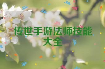 传世手游法师技能大全