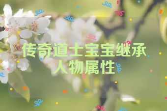 传奇道士宝宝继承人物属性