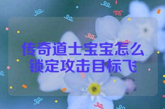 传奇道士宝宝怎么锁定攻击目标飞