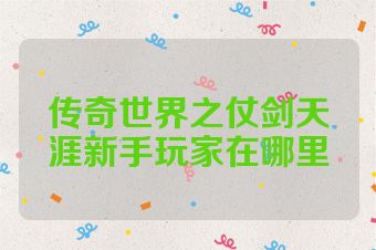 传奇世界之仗剑天涯新手玩家在哪里