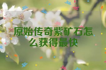 原始传奇紫矿石怎么获得最快