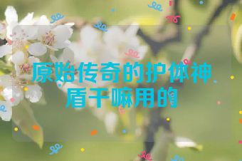 原始传奇的护体神盾干嘛用的