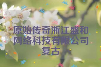 原始传奇浙江盛和网络科技有限公司复古