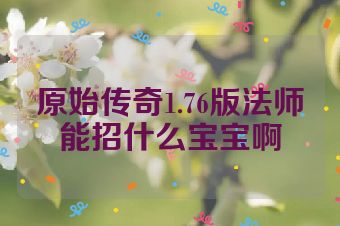原始传奇1.76版法师能招什么宝宝啊