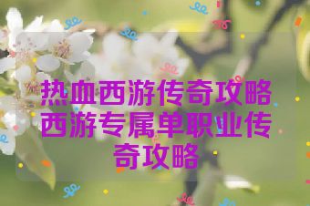 热血西游传奇攻略西游专属单职业传奇攻略