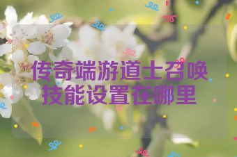传奇端游道士召唤技能设置在哪里