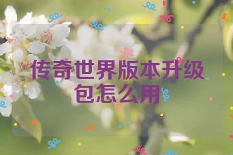 传奇世界版本升级包怎么用