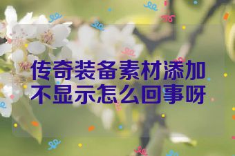 传奇装备素材添加不显示怎么回事呀