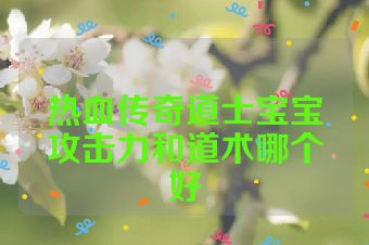 热血传奇道士宝宝攻击力和道术哪个好