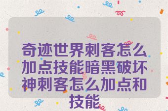 奇迹世界刺客怎么加点技能暗黑破坏神刺客怎么加点和技能