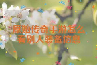 原始传奇手游怎么看别人装备信息