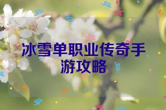 冰雪单职业传奇手游攻略