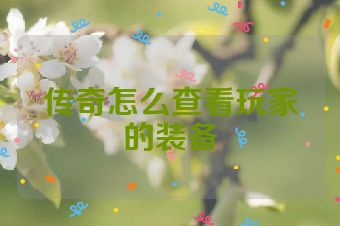 传奇怎么查看玩家的装备