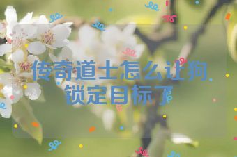 传奇道士怎么让狗锁定目标了