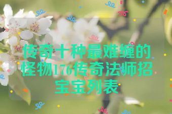 传奇十种最难缠的怪物176传奇法师招宝宝列表