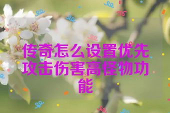 传奇怎么设置优先攻击伤害高怪物功能