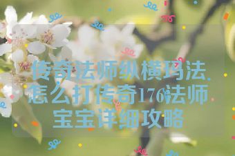 传奇法师纵横玛法怎么打传奇176法师宝宝详细攻略