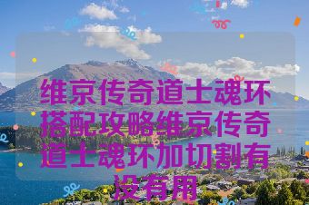 维京传奇道士魂环搭配攻略维京传奇道士魂环加切割有没有用