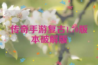 传奇手游复古1.70版本破解版