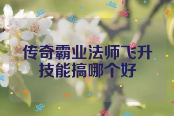 传奇霸业法师飞升技能搞哪个好