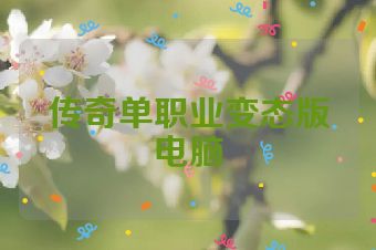 传奇单职业变态版电脑