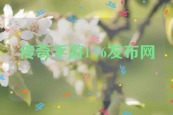传奇手游1.76发布网