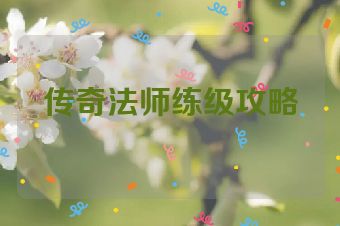 传奇法师练级攻略