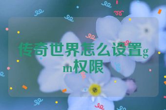 传奇世界怎么设置gm权限