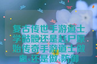 复古传世手游道士学骷髅还是赶尸原始传奇手游道士做血s还是做s防御