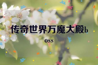 传奇世界万魔大殿boss