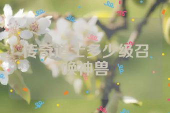 传奇道士多少级召唤神兽