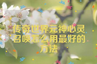 传奇世界元神心灵召唤怎么用最好的方法