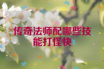 传奇法师配哪些技能打怪快