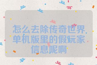 怎么去除传奇世界单机版里的假玩家信息呢啊