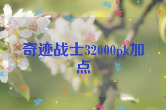 奇迹战士32000pk加点