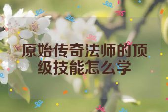 原始传奇法师的顶级技能怎么学