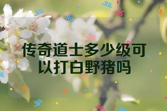 传奇道士多少级可以打白野猪吗