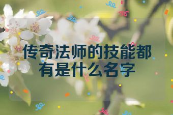 传奇法师的技能都有是什么名字