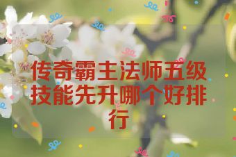 传奇霸主法师五级技能先升哪个好排行
