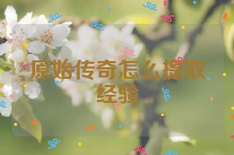 原始传奇怎么提取经验