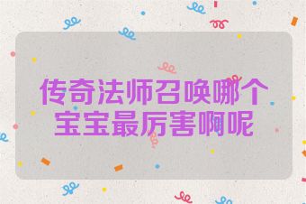 传奇法师召唤哪个宝宝最厉害啊呢