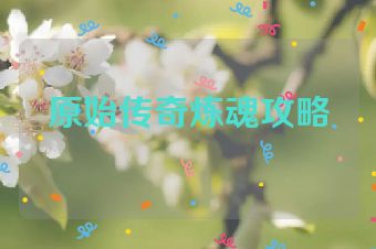原始传奇炼魂攻略