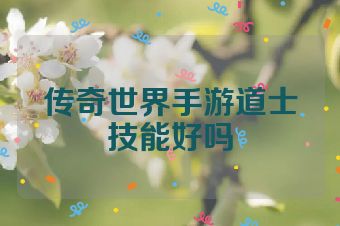 传奇世界手游道士技能好吗