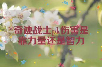 奇迹战士pk伤害是靠力量还是智力