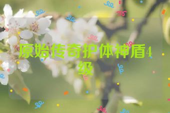 原始传奇护体神盾4级