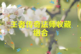 王者传奇法师收藏组合